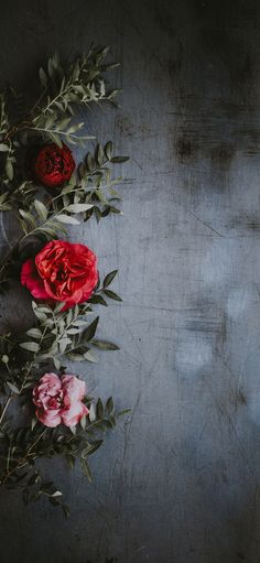 three red roses are arranged in a row on a gray background with leaves and stems