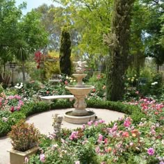 a garden filled with lots of flowers and trees