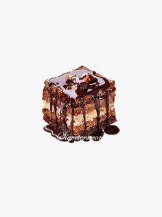 a piece of cake with chocolate drizzled on top