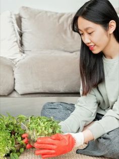 Using coconut coir mats to grow microgreens is simple and easy. Here are the steps to get started!