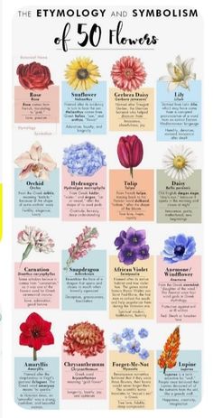 a poster with different types of flowers and their names on it's back side