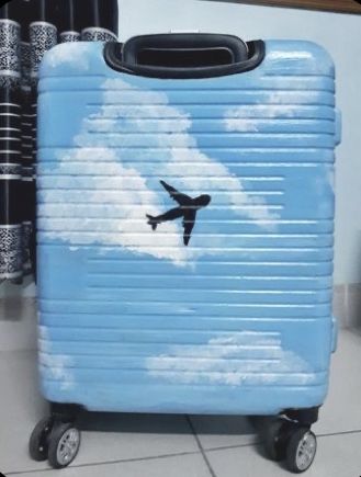 DIY luggage painting ideas travel arts and crafts fun Suitcase Painting, Painted Luggage, Luggage Painting, Suitcase Diy, Painted Suitcase, Diy Suitcase, Diy Luggage, New Sketchbook, Suitcase Cover