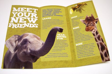 Animal cut-outs flyer Zoo Flyer Design, Zoo Brochure Design, Zoo Design Graphics, Zoo Flyer, Animal Brochure, Zoo Brochure, Science Brochure, Endangered Species Project, Conservation Poster