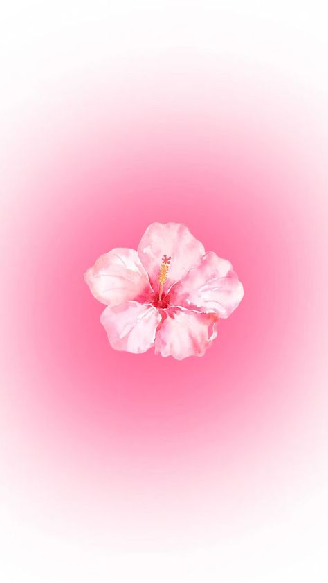 #hibiscus 🌺 Hibiscus Flower Wallpaper Aesthetic, Plain Wallpaper Iphone, Pink Wallpaper Ipad, ليلو وستيتش, Pretty Wallpaper Ipad, Cute Images For Wallpaper, Cute Wallpapers For Ipad, Cute Summer Wallpapers, Pink Wallpaper Backgrounds