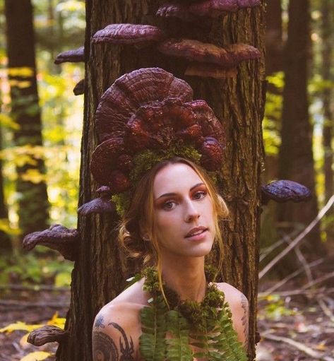 You Should See Me In A *Reishi* Crown 👑 We all deserve to live like royalty, right? Image by @camhoeff #mushroommonday #billieeilish #youshouldseemeinacrown #reishi #crown #royalty #funkyfungi #mushroomqueen #mushrooms #reishimushroom #lingzhi #nature #natureart #neature #naturephotography #mushroomphotography #mushroomart #mushroomlover #mushlove #mushies #fantasticfungi #fungifan #camhoeff #🍄 #👑 Fairycore Makeup, Mushroom Crown, Fern Necklace, Plant Magic, Medicine Woman, Fairy Magic, Mushroom Art, Themed Outfits, Get Over It