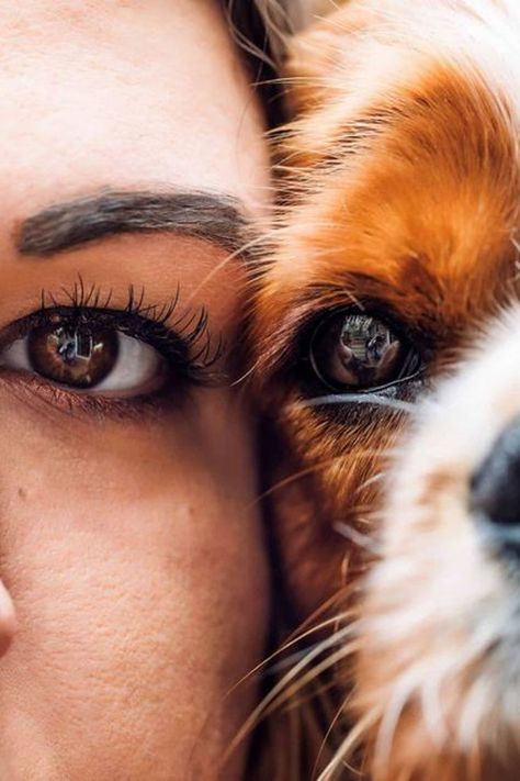 Close Up, A Woman, Pet, Photography