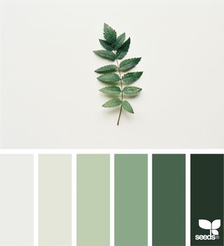 Nature Tones | design seeds | Bloglovin’ Green Color Palette, Design Seeds, Colour Palettes, Colour Schemes, Color Pallets, Green And White, Colour Palette, Color Inspiration, Color Combos