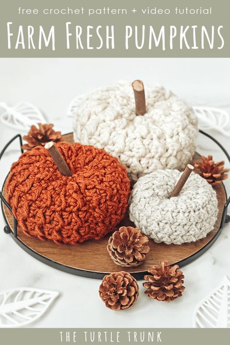 pinterest pin for the farm fresh pumpkin crochet pattern by The Turtle Trunk Crocheted Pumpkins, Crochet Fall Decor, Thanksgiving Crochet, Crochet Pumpkins, Fresh Pumpkin, Fall Crochet, Fall Crochet Patterns, Halloween Crochet Patterns, Crochet Fall