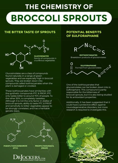 Broccoli Sprouts: Top 6 Health Benefits for Gut & Hormones Benefits Of Sprouts, Brussel Sprouts Health Benefits, Broccoli Sprouts Recipes, Sprout Benefits, Broccoli Sprouts Benefits, Health Benefits Of Broccoli, Sprouts Benefits, Nutritional Foods, Herbs Healing