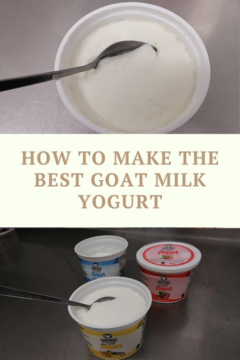 Homemade Goat Milk Yogurt, Goat Yogurt Recipe, Goats Milk Yogurt Recipe, Goat Milk Yogurt Recipe, What To Do With Goats Milk, Ayurveda Cooking, Goat Products, Milk Advertising, Goat Milk Yogurt