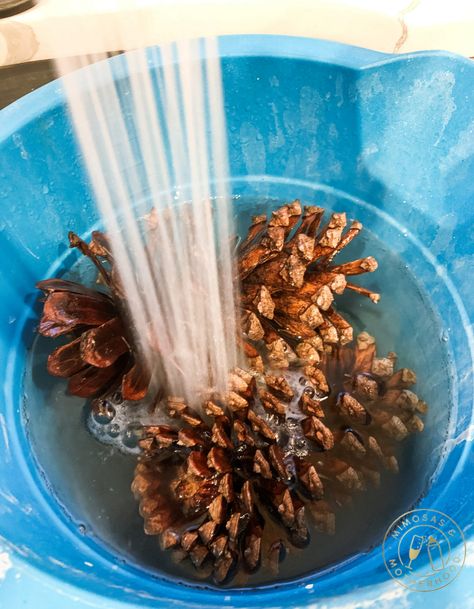 Mercury Glass Pinecones Diy, Pine Cone Cleaning, How To Wash Pinecones, Pine Cone Snowman Craft, Clean Pine Cones For Crafts, How To Prep Pinecones For Crafts, Prepping Pinecones For Crafts, How To Dry Out Pine Cones, How To Dye Pinecones Red