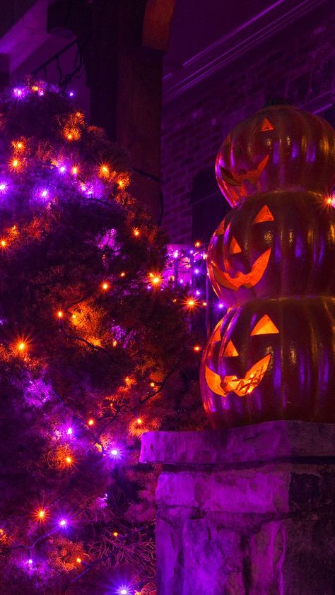 orange & purple halloween lights & pumpkin decorations Orange And Purple Lights Halloween, Halloween Colors Aesthetic, Purple And Orange Halloween Decorations, Halloween Aesthetic Purple Orange, Halloween Purple Lights, Purple And Orange Wallpaper Aesthetic, Purple Green Orange Halloween Decor, Halloween Lights Aesthetic, Spooky Purple Wallpaper