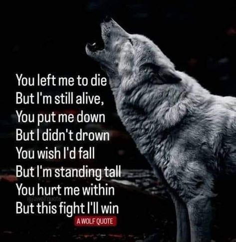 Wolf Mentality, Jackson Core, Deep Facts, Good Heart Quotes, Lone Wolf Quotes, I Will Win, Canada Ottawa, Gilded Cage, Teen Wolf Quotes