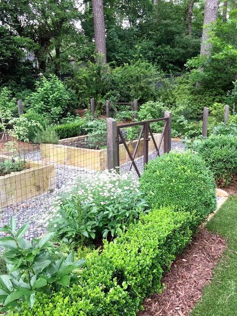 Vegetable garden with raised beds, fencing & boxwoods at gate - via Design Indulgence Bed Layout, Hedging Plants, Potager Garden, Garden Area, Veg Garden, Metal Fence, Vegetable Garden Design, Front Yard Garden, Garden Bed