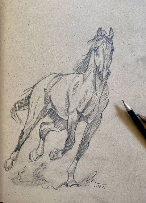 Horse Art Drawing, Animal Drawings Sketches, Horse Sketch, Horse Drawing, Horse Drawings, Art Drawings Sketches Creative, Animal Sketches, Arte Animal, Horse Painting