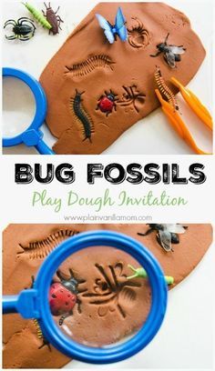 Bug Fossils, Play Dough Invitation, Vetenskapliga Experiment, Insect Study, Bug Activities, Bugs Preschool, Insect Activities, Insect Crafts, Preschool Programs