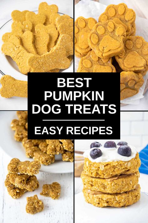 Dog Cookies Recipe Pumpkin, Homemade Dog Treats With Pumpkin, Dog Treats With Pumpkin, Best Homemade Dog Treats, Dog Treats Recipes, Dog Treats Homemade Pumpkin, 3 Ingredient Dog Treats, Pumpkin Dog Biscuits, No Bake Dog Treats