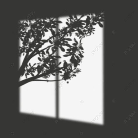 Garage Door Art, Shadow Window, Planning 2024, Shadow Png, Shadow Tree, Tree Shadow, Window Shadow, House In The Forest, Dark Window