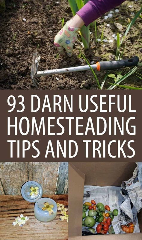 Farm Tips And Tricks, Homestead Tips, Homestead Business, Homesteading Diy Projects, Homestead Projects, Homesteading Tips, Bushcraft Shelter, Camping Tricks, Make Your Own Makeup