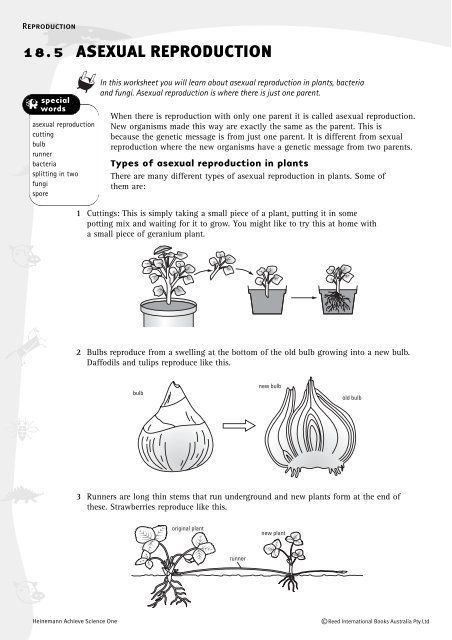 Worksheet: Asexual reproduction Asexual Plants, Asexual Reproduction In Plants, Types Of Asexual Reproduction, Reproduction In Plants, Winter Formal Ideas, Plant Reproduction, Asexual Reproduction, Plants Worksheets, Text To Text Connections