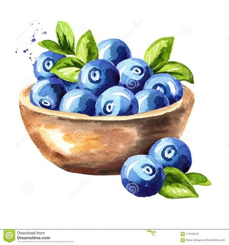 Blue Berries Drawing, Bowl Of Blueberries, Blueberry Drawing, Blueberry Illustration, Blueberry Watercolor, Drawing Magic, Vegetable Art, Watercolor House Painting, Blue Berries