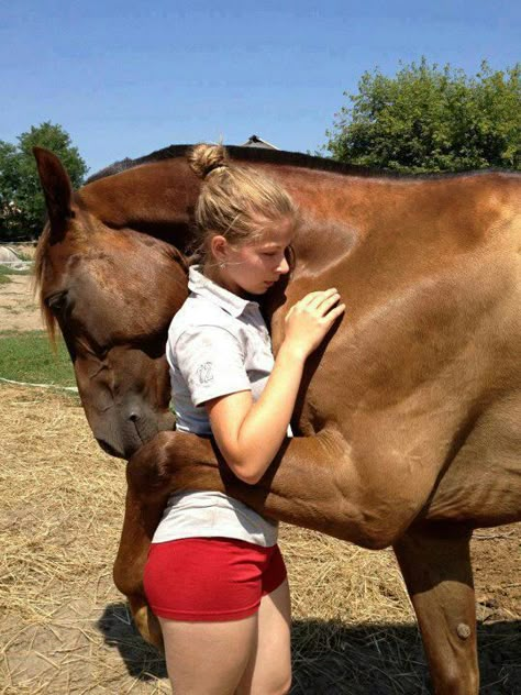 Animal Hugs, Pretty Horses, Horse Love, Horse Lover, 귀여운 동물, Beautiful Horses, Animals Friends, Beautiful Creatures, Animal Kingdom