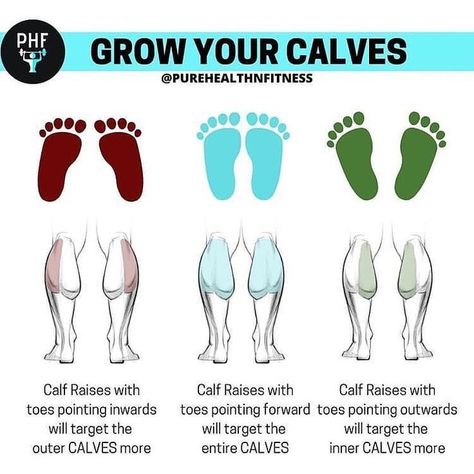 How To Grow Your Leg Muscles, How To Grow Calf Muscles, How To Grow Your Calves, How To Grow Calves, Grow Calves, Grow Your Calves, Toned Calves, Strong Calves, Bigger Calves