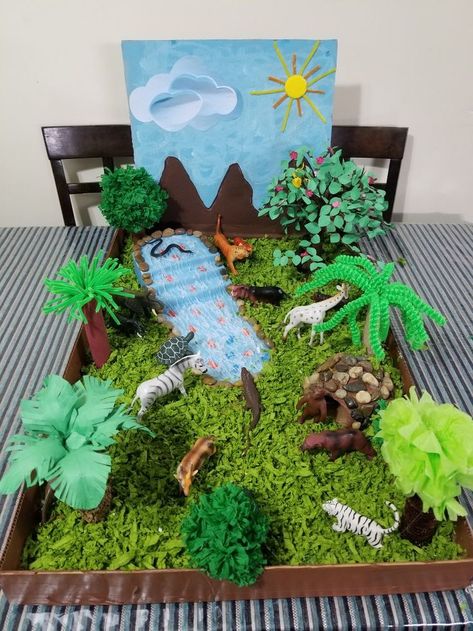 Rainforest Preschool Science Habitat Project, Forest Ecosystem Diorama, Grassland Ecosystem Project, Dinosaur Habitat Diy, Rainforest Crafts For Kids Art Projects, Forest Habitat Project, Forest Projects For Kids, Habitats Projects For Kids, Grassland Biome Project