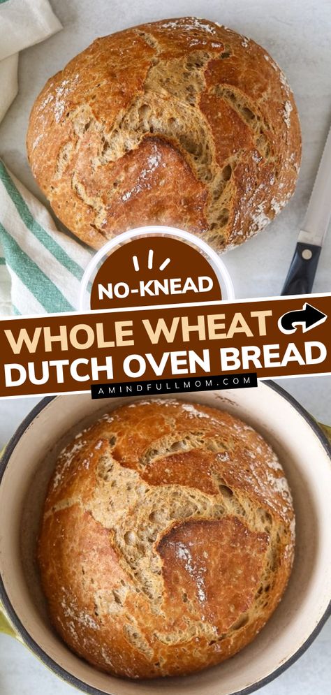 No-Knead Whole Wheat Dutch Oven Bread Crusty No Knead Bread, Clean Bread Recipe, Easy Homemade Wheat Bread, Wheat No Knead Bread, Whole Meal Bread Recipe, Bread Recipe Healthy, Best Whole Wheat Bread Recipe, Wholewheat Bread Recipes, Whole Bread Recipes