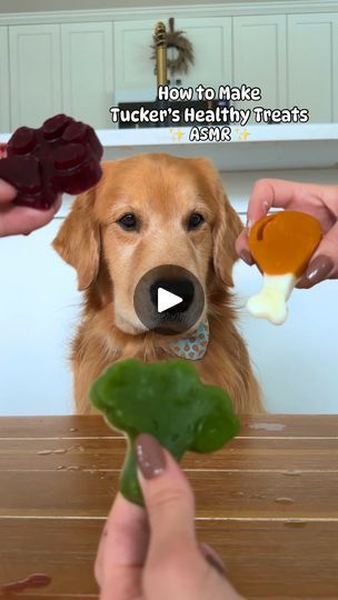 Minnie Treats, Tucker Budzyn, Pup Treats, Dogs Treats, Pineapple Dessert Recipes, Frozen Dog Treats, Healthy Dog Treats Homemade, Animal Food, Dog Treats Homemade Recipes