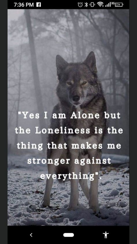 Quotes Warrior, Wolf Pack Quotes, Inspirational Animal Quotes, Demonic Quotes, Lone Wolf Quotes, Wolf Quotes, Wolf Spirit Animal, She Wolf, Wolf Pictures