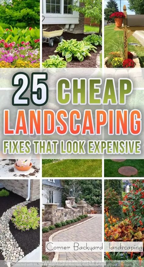 Escape the Everyday | Create Your Dream Garden Oasis at Home | Home decor | Dream backyard Cheap Landscaping, Cheap Landscaping Ideas, Small Front Yard Landscaping, Front Yard Garden Design, Gardening Hacks, Diy Backyard Landscaping, Home Landscaping, Garden Yard Ideas, Front Yard Garden