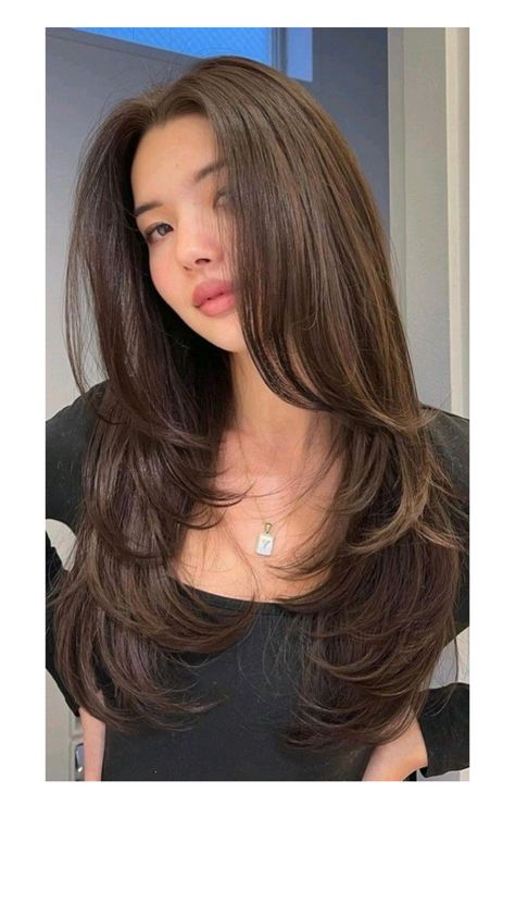 Layered Medium Thick Hair, Butterfly Haircut For Thick Wavy Hair, Thick Layered Haircut, Haircuts Long Hair Straight, Butterfly Haircut Thick Hair, Haïr Cut Long Hair Straight, Straight Hair Haircuts Women, Haircut Thick Straight Hair, Trendy Haircut For Long Hair Straight