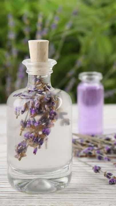 How To Make Lavender Oil At Home In 5 Simple Steps How To Make Lavender Oil, Diy Lavender Oil, Dried Lavender Flowers, Best Oils, Dried Lavender, Carrier Oils, Lavender Oil, Lavender Flowers, Jojoba Oil