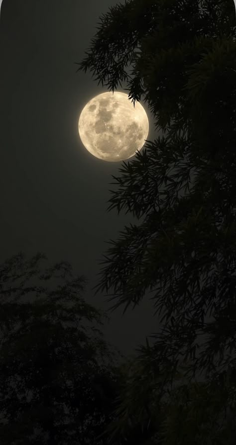 Blue Moon Photography, Sky Photography Nature, The Moon Is Beautiful, Dark Nature Aesthetic, Night Scenery, Moon Photography, Sky Photos, Beautiful Views Video, Clipuri Video