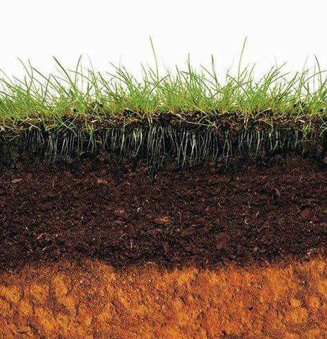 Do you know dirt about soil? Here's a great guide! Soil Aesthetic, Soil Profile, Magazine Cover Ideas, Texture Photoshop, Beautiful Vietnam, Soil Texture, Acid Loving Plants, Earth And Space Science, Inside Plants