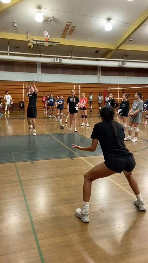 51K views · 3.1K reactions | NOR CAL CAMP DAY TWO STARTS NOW! 🏆 #SetterCollege #Volleyball | Volleyball Training | settercollegevb · Original audio Training Camp Aesthetic, Volleyball Middle Blocker, Bear Claw Slippers, Volleyball Goals, Claw Slippers, Volleyball Motivation, Volleyball Tryouts, Volleyball Aesthetic, Volleyball Camp