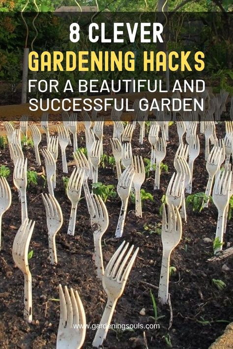 8 Clever Gardening Hacks For a Beautiful and Successful Garden Outdoor Garden Layout, Limited Space Garden Ideas, Cheap Vegetable Garden Ideas, Garden Tricks And Tips, Garden Easy Ideas, Cheap Garden Hacks, Garden For Dummies, Diy Garden Vegetable, Veggie Garden Hacks