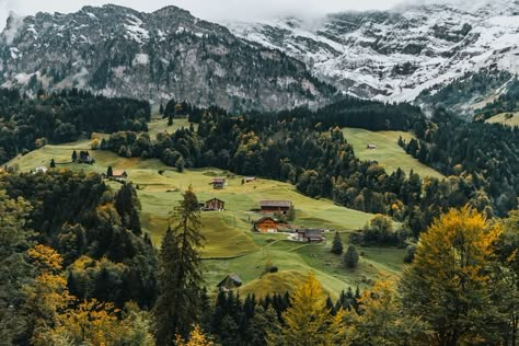 aerial photography of houses on green hill photo – Free Switzerland Image on Unsplash Switzerland Wallpaper, Hill Photo, Desktop Wallpaper Art, Image Nature, Tree Images, Ipad Wallpapers, Wallpaper Laptop, Forest Wallpaper, Wallpaper Ipad