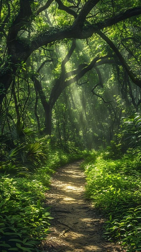 "Mystical #NatureWalk: A serene #Trail winds through a lush, sunlit #Woods, casting enchanting light through the dense foliage. #ScenicView #NatureLovers #ArtOfNature #DownloadMagic ⬇️ Download and 📝 Prompt 👉 https://stockcake.com/i/mystical-forest-path_864297_1112426" Fairies In The Woods, Beautiful Woods Forests, Pretty Pictures Of Nature, Pathway In Forest, Enchanted Woods Aesthetic, Finally Free Aesthetic, Dappled Light Forest, Nature Inspo Pics, Forest Asthetics Photos