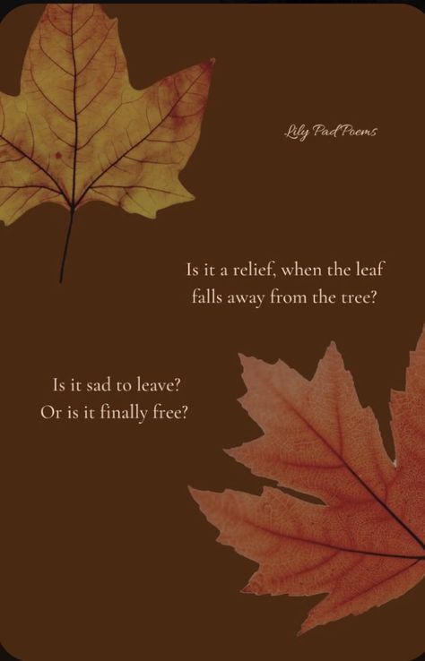 Autumn To Winter Quotes, Quotes About Leaves Falling, Poetry About Seasons, Autumn Poems Beautiful, Autumn Leaves Poem, Poetry About Autumn, Autumn Poems Poetry, Fall Poems Beautiful, Autumn Board Ideas