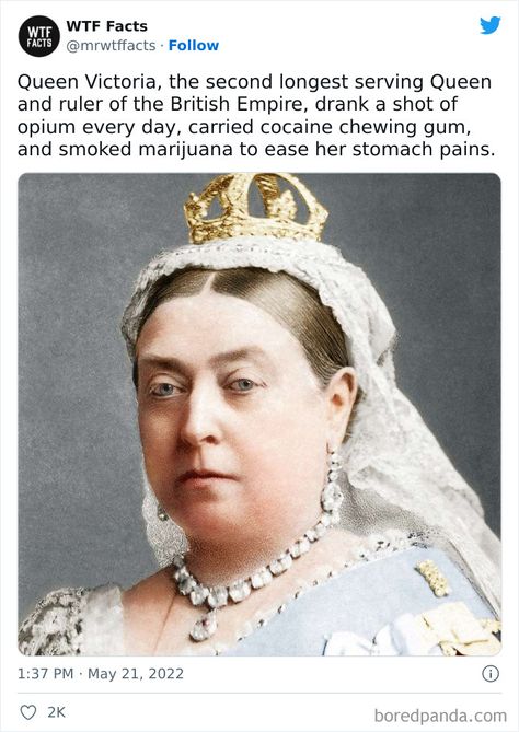 History Facts Tumblr, Fun History Facts, Weird Historical Facts, Cool History Facts, British History Facts, Random History Facts, Funny History Facts, Weird Fun Facts, Interesting History Facts