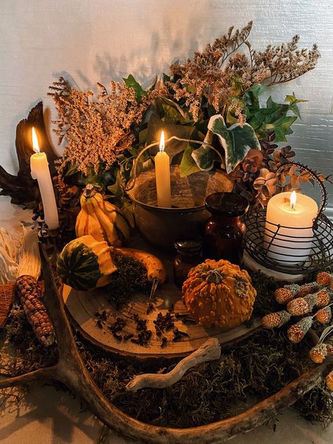 Halloween pumpkin witch altar Witchy Weekend, Samhain Decorations, Samhain Altar, Witch Altar, Pagan Festivals, Autumn Witch, Ideas For Autumn, Witches Altar, Witch Vibes