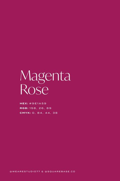 Magenta Rose Deep Purple Colour Palette Inspiration For Your Next Design Project Magenta Wedding Theme, Purple Colour Palette, Colour Palette Inspiration, Accent Wall Colors, Magenta Rose, Color Design Inspiration, Purple Color Palettes, Color Combinations For Clothes, Palette Inspiration