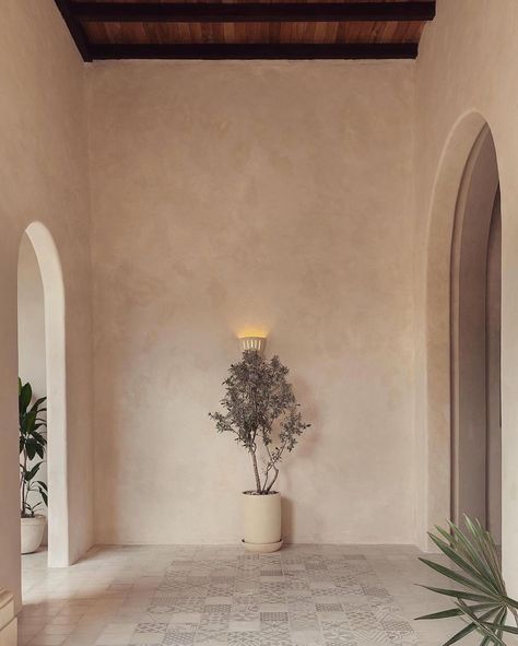 Bao Bei or “little treasure” Lime washed walls and delicate beauty in historic Granada. @baobeinica ____________________________________________ #architecture #inspiringarchitecture #design #interiordesign #inspiringhomes #designerhomes #spaces #inspiringspaces #home #homedesign #interiors #modernarchitecture #moderndesign #dreamhome #homeinspiration #naturaldesigns at #our.chitecture #luxury #limewashed #nicaragua #granada #villa *OUR.chitecture has curated this content. The origina... Lime Wash Hallway, Limestone Wash Wall, Limewash Hallway, Arched Hallway Entryway, Lime Wash Exterior, Limewash Walls Interiors, Lime Washed Walls, Stucco Interior Walls, Limestone Wash