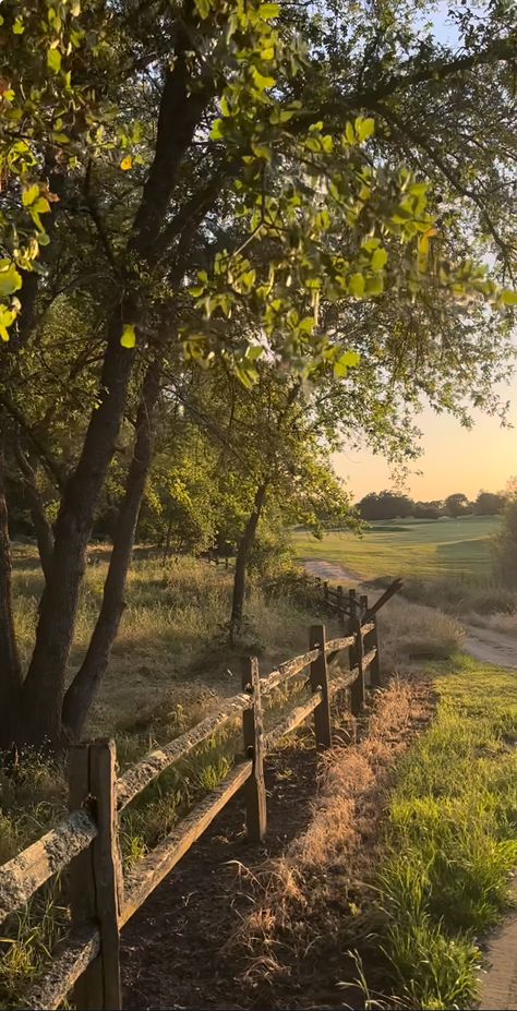 Peaceful Garden Aesthetic, Cottage Core Homestead Aesthetic, Rich Nature Aesthetic, Tennessee Countryside Aesthetic, Countryside Living Aesthetic, Romantic Countryside Aesthetic, Rural Area Aesthetic, Homesteading Aesthetic Wallpaper, Farm Phone Wallpaper