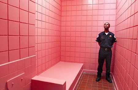 Baker-Miller pink. The psychology of color Baker Miller Pink, Jail Cell, Prison Cell, Calming Colors, Pink Room, Perfect Pink, Everything Pink, Pink Walls, Cara Delevingne