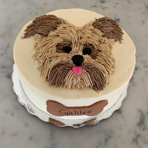 Cake Designs For Dogs, Dog Cake Decoration, Yorkie Cake, Dog Cake Design, Dog Lover Cake, Zoe Cake, Puppy Birthday Cakes, Succulent Cake, Artist Cake