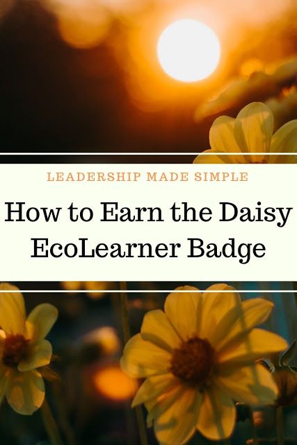 Daisy Eco Learner Badge Activities, Daisy Math In Nature Badge, Daisy Trail Adventure Badge Ideas, Eco Learner Daisy Badge Ideas, Outdoor Art Maker Badge Daisy Ideas, Daisy Girl Scouts Badges, Daisy Badge Ideas, Daisy Meeting Ideas, Daisy Badges