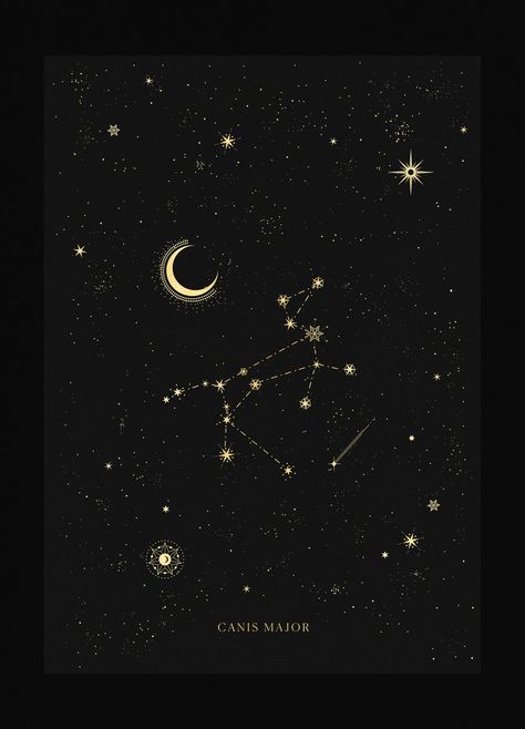 Canis Major Constellation Canis Major Constellation, Canis Major, Virgo Constellation Tattoo, Sirius Star, Constellation Poster, Virgo Constellation, Constellation Art, Constellation Tattoos, Star Constellations